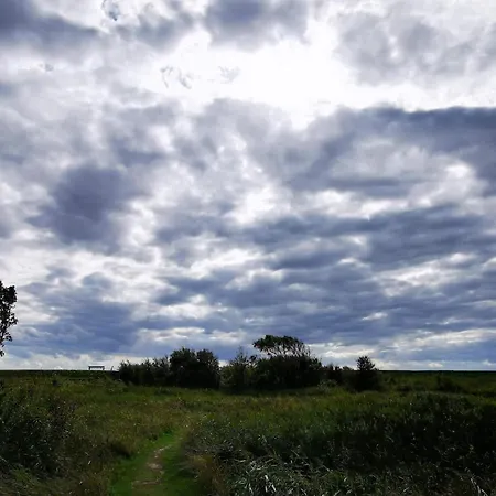 5 Person In Rodby-by Traum *